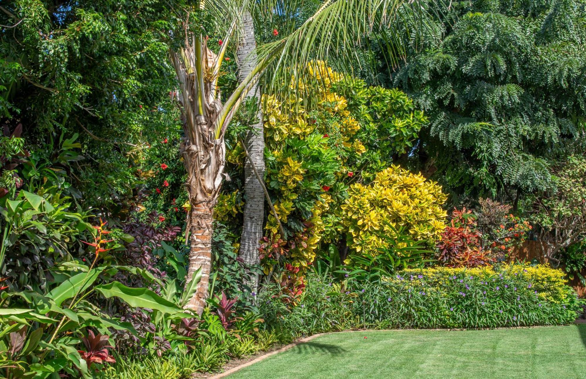 Napili Surf Beach Resort By Castle Kapalua Luaran gambar