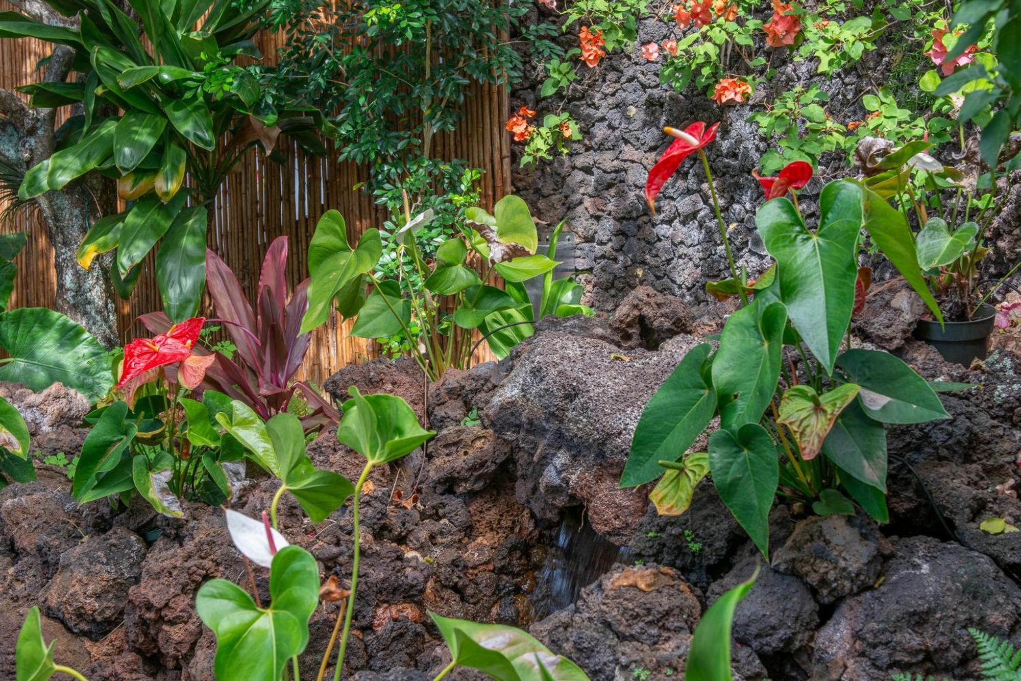 Napili Surf Beach Resort By Castle Kapalua Luaran gambar