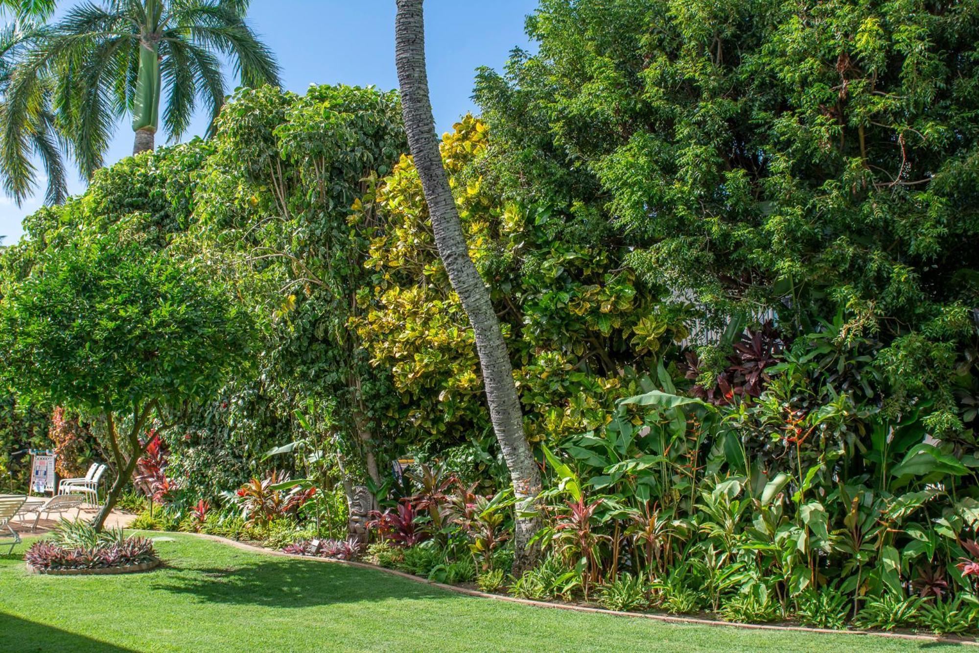 Napili Surf Beach Resort By Castle Kapalua Luaran gambar